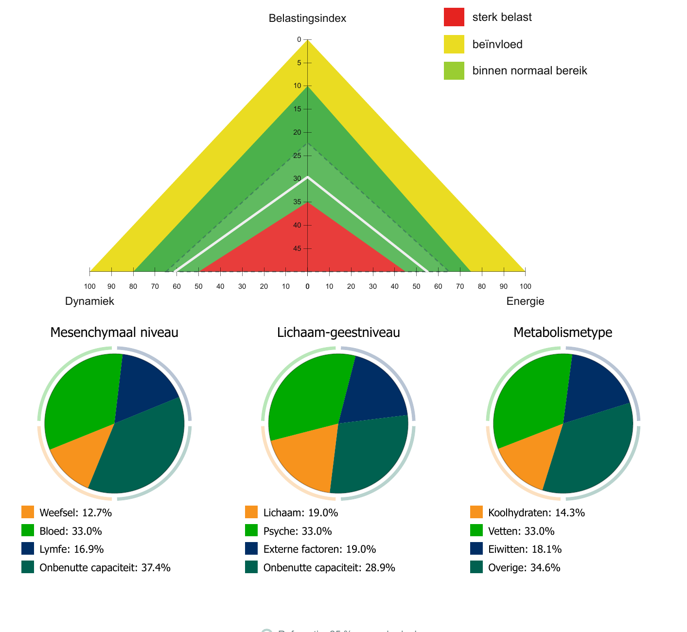 Voorbeeld van de grafische evaluatie en leefstijlfactoren uit het CHECK-rapport